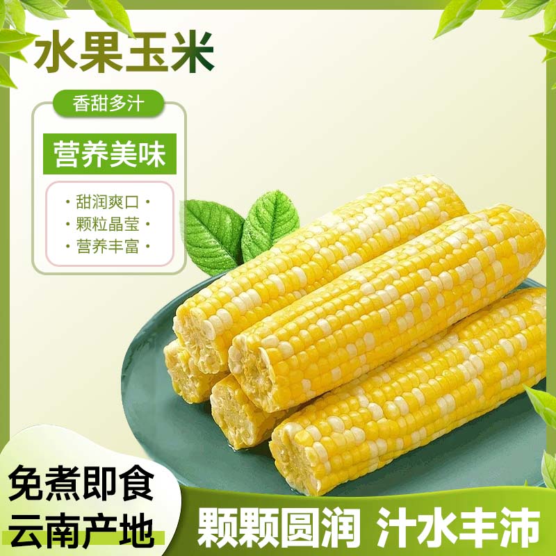 新鲜水果玉米 现摘甜玉米棒可水煮火锅 应季蔬菜水果 5斤装【4-8颗】