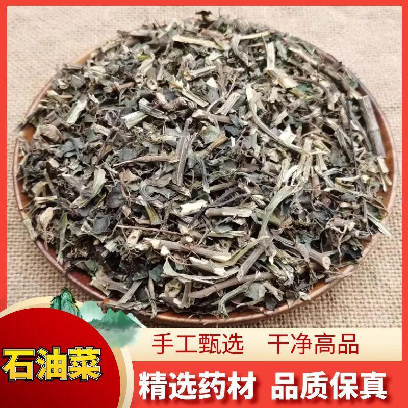 250g石觅菜肥猪菜打不死疳积草滋补中药材