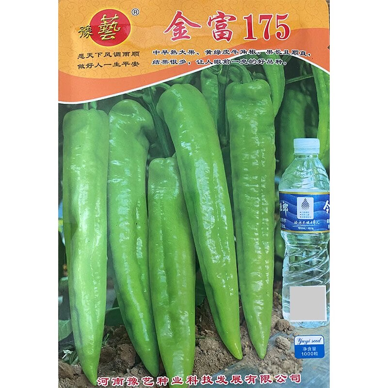 豫艺 金富175黄绿皮大果尖椒种子 中早熟高产顺直牛角椒种子 辣椒种子 金富175辣椒种子1000粒
