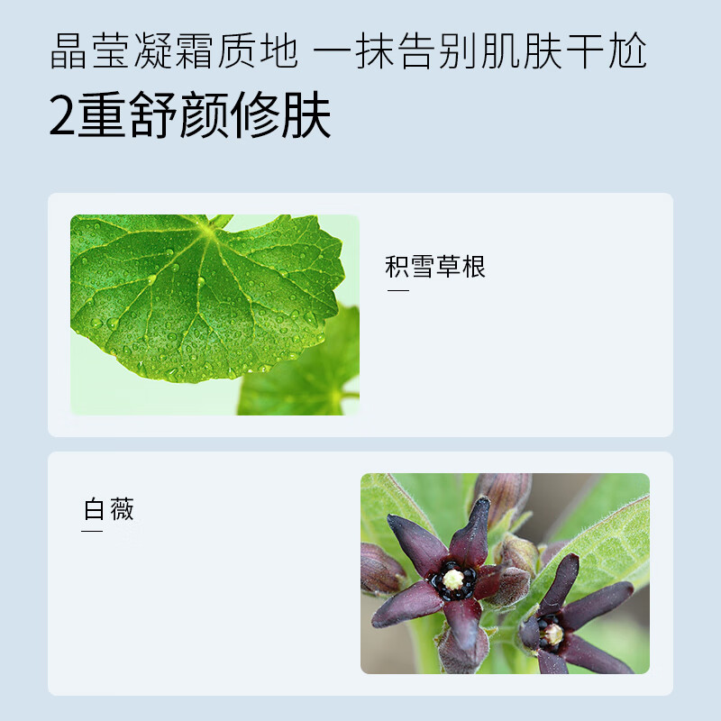 雪完美（PXE） 雪完美美白祛斑霜保湿面霜护肤品化妆品烟酰胺淡斑霜滋润补水霜 雪完美水光透润水凝霜50g