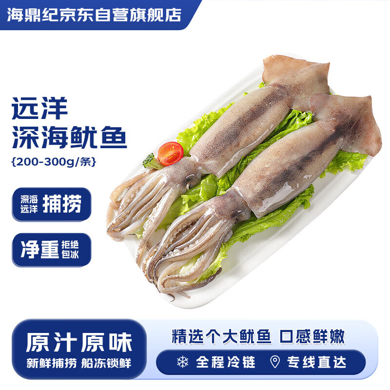 海鼎纪鲜冻整只大鱿鱼2斤 200-300g/条  烧烤火锅 海鲜 远洋捕捞