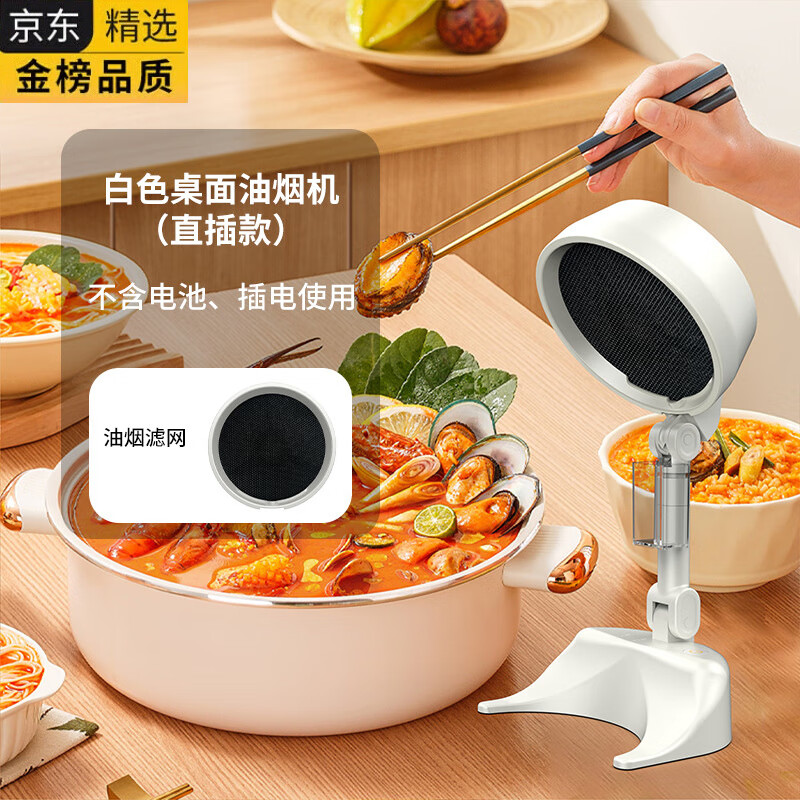 HGEG德国进口桌面吸抽油烟机家用小型排烟机烤肉火锅除味空气净化器抽 象牙白直插式油烟机