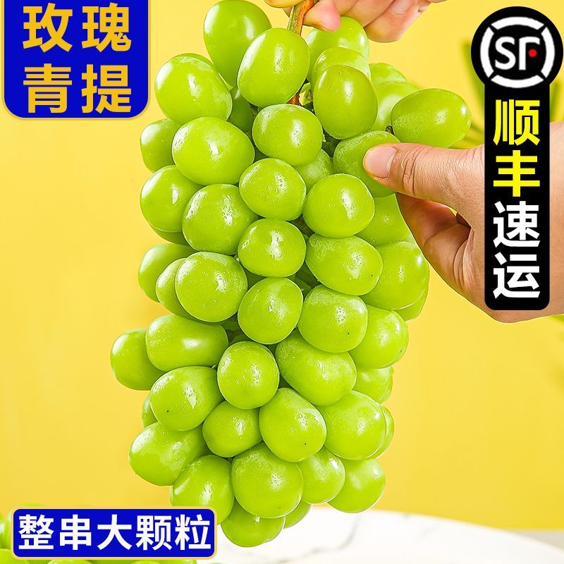 千园九味【顺丰到家】山西阳光玫瑰葡萄新鲜水果晴王提子玫瑰香葡萄 现摘净重4斤-顺丰