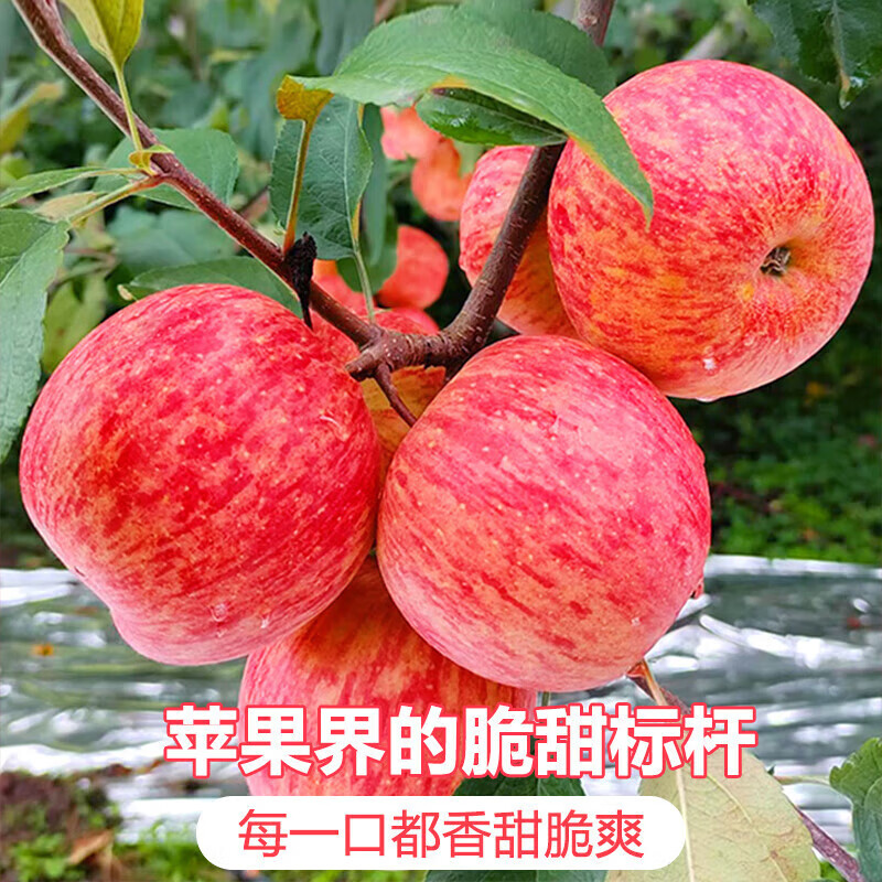 产品配图