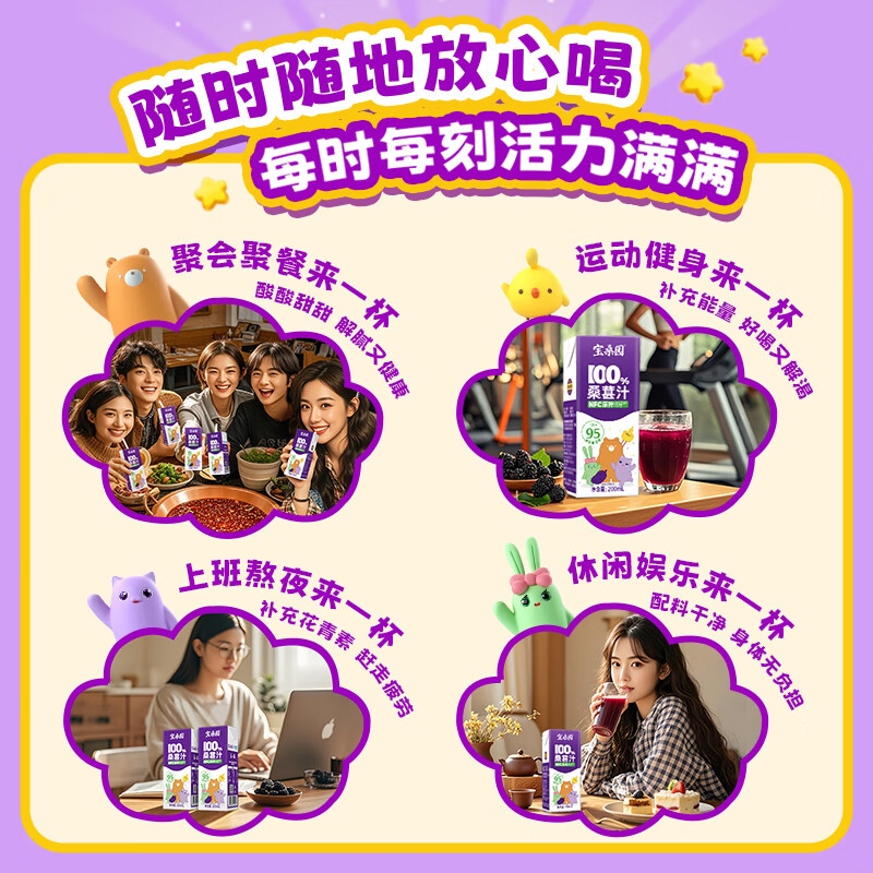 宝桑园100%NFC桑葚汁200ml*12盒 果蔬汁健康饮料 200ml*12盒