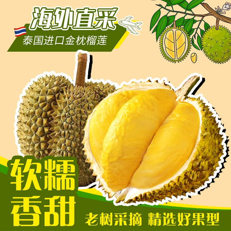时茂泰国金枕头榴莲鲜果新鲜整个带壳榴莲热带水果整箱【多地次日达】 净重3-4斤【包三房】