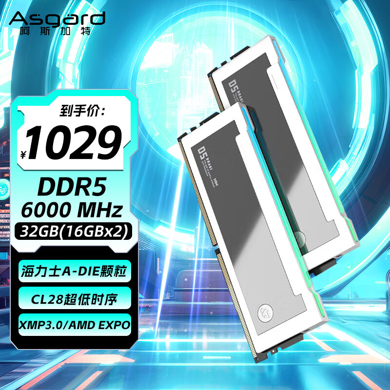 阿斯加特（Asgard）32GB(16GBx2) DDR5 6000 台式机内存条 博拉琪II代 RGB灯条 海力士A-die CL28 极地白