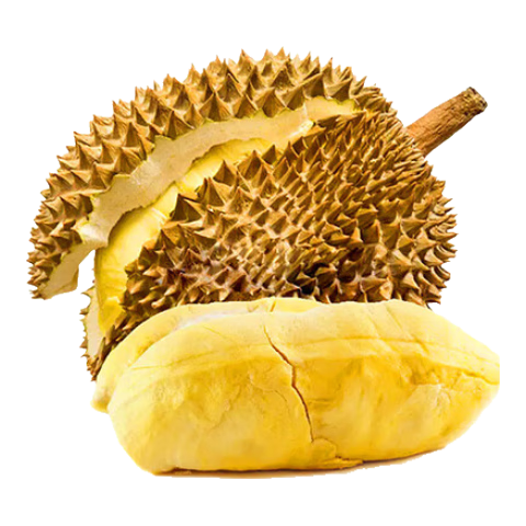 JDBMO̩�������������������������ʹ���������ʱ������ ������������������3-4��1��װ