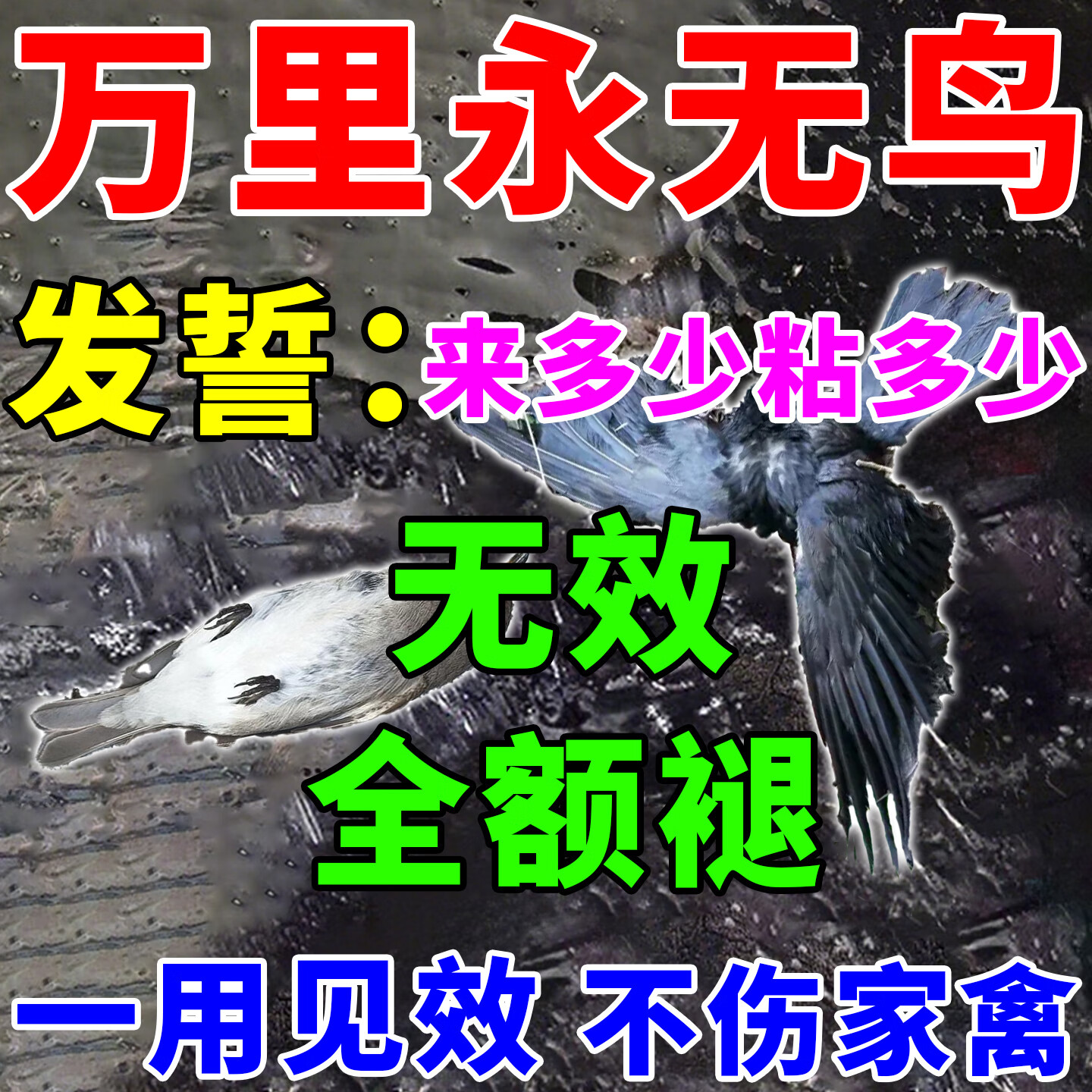 驱鸟神器高效黏赶走阳台汽车防鸟屎神器乱拉逮鸽子麻雀喜鹊 一张,0