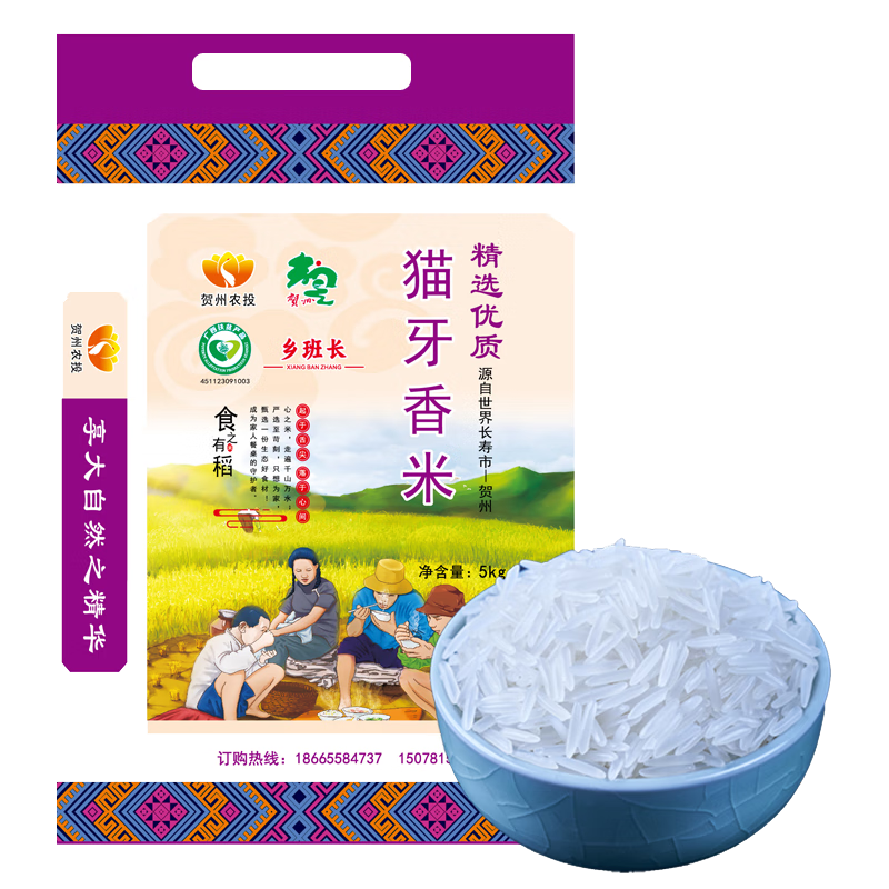 鄉(xiāng)班長貓牙米長粒香米2024年新米大米蛋炒飯煲仔飯米晚稻農家絲苗米秈米 10斤貓牙香米