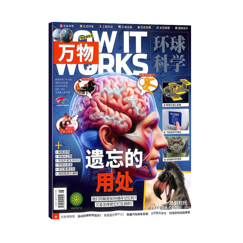 【现货包邮】7-15岁青少年暑期阅读 好奇号/万物单期杂志订阅 2025/2026年订阅 小学生课外阅读科普百科知识拓展 通识教育兴趣培养 语文写作素材积累少儿阅读 杂志铺杂志订阅暑期阅读包 【现货】