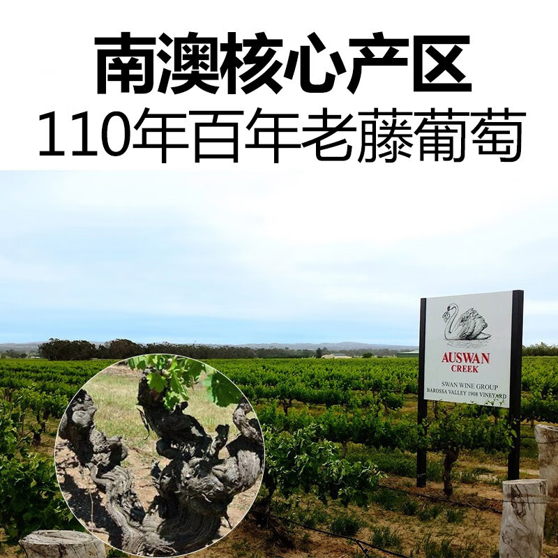 天鹅庄【前澳驻华大使推荐】澳大利亚原瓶进口红酒干红葡萄酒年货送礼装 外交家45西拉礼盒 750ML2支