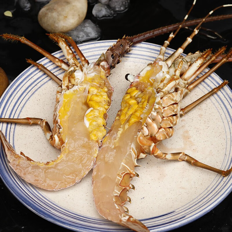 海鲜颂澳洲龙虾