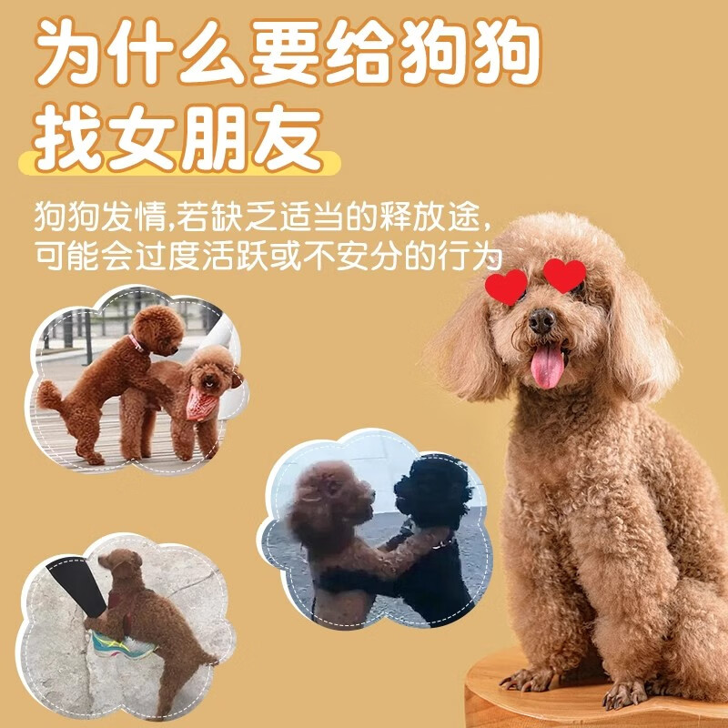 胖东来品质公狗发泄交配玩具公狗发泄玩具泰迪交配比熊自嗨女朋友 白色大号通道离地25厘米