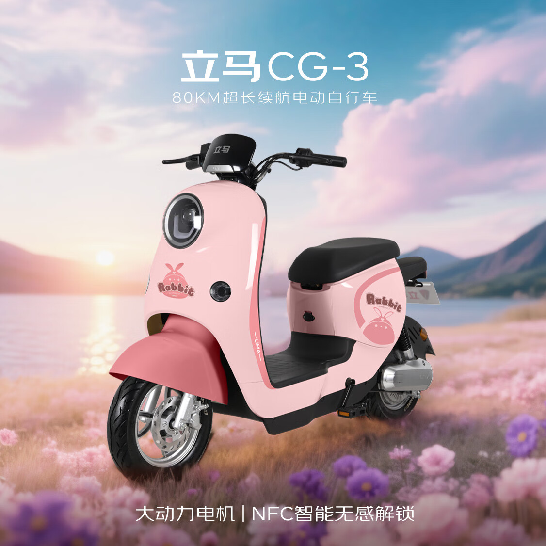 立马【CCTV大国品牌】东哥送年货同款电动自行车CG-3 宁德时代汽车级锂电48V24Ah电动车自行上牌 粉