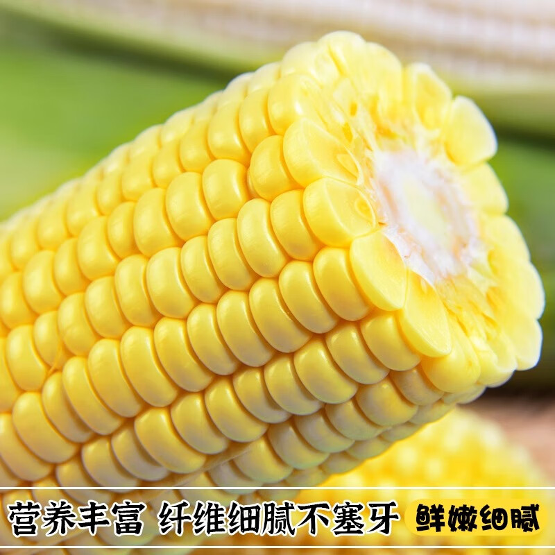 BUY云南水果玉米甜脆爆浆新鲜嫩玉米棒子代餐早晚餐 水果玉米带箱5斤