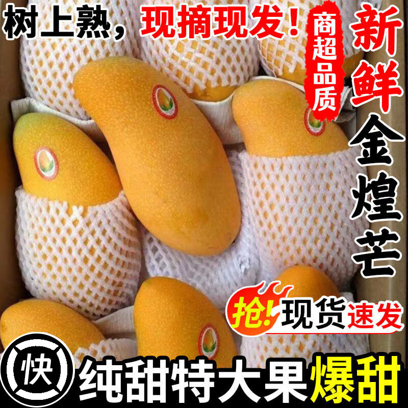 三萌果蔬海南金煌芒芒果新鲜水果当季水仙芒青皮大芒果时令孕妇整箱批发 5斤老树果【单果200g+】 净4.5斤