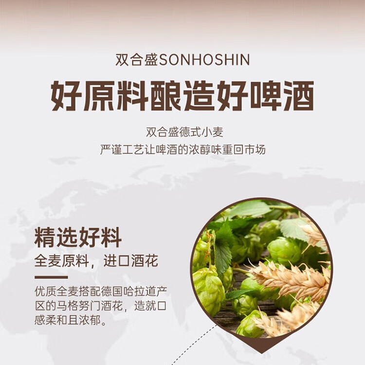 双合盛年货精酿缤纷啤酒礼盒送礼百年老字号 礼遇团圆 500*12罐