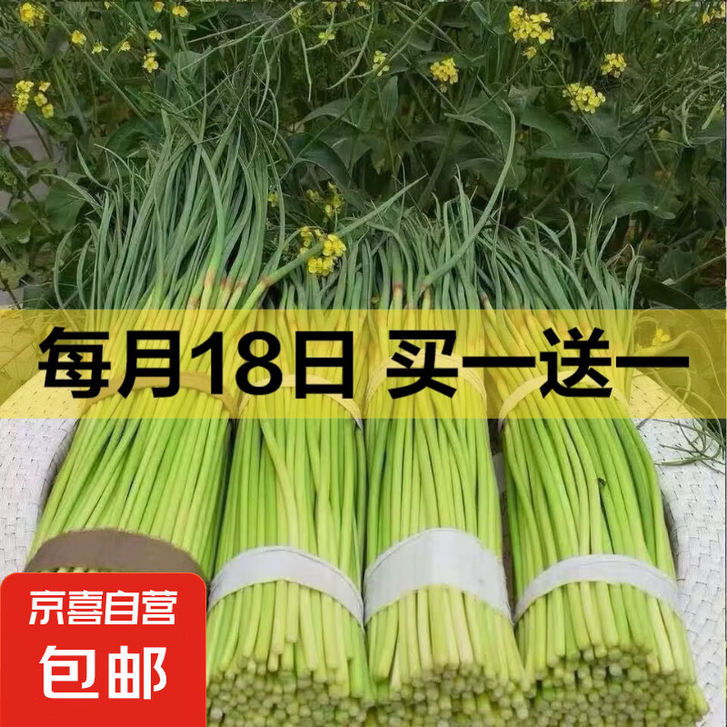 京喜加京东买菜新鲜蒜苔自营生鲜蔬菜即食凉拌蒜苔 【特惠】 250g