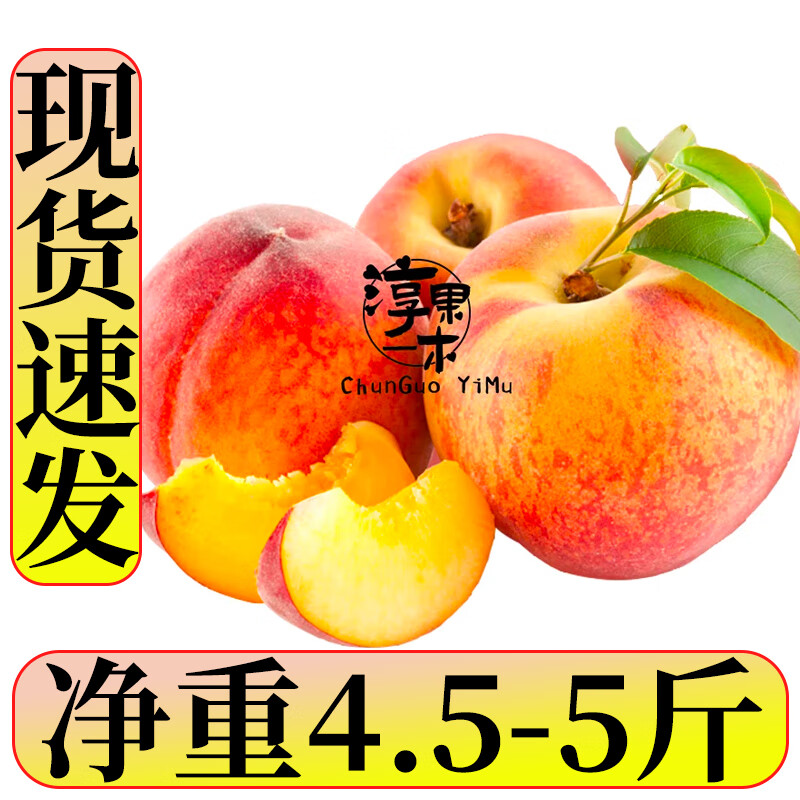淳果一木 新鲜黄桃 黄毛桃子彩虹黄桃 水黄金桃蜜子桃 新鲜生鲜水果 彩虹皮黄桃5斤（净重4.5-5斤）