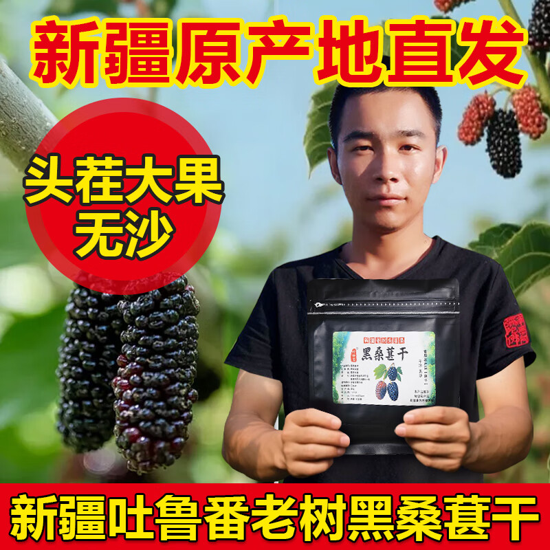 新疆桑葚干黑桑椹干果即食头茬大果新鲜药材泡酒泡茶水无硫熏特产 黑桑葚干2斤【新疆直发】