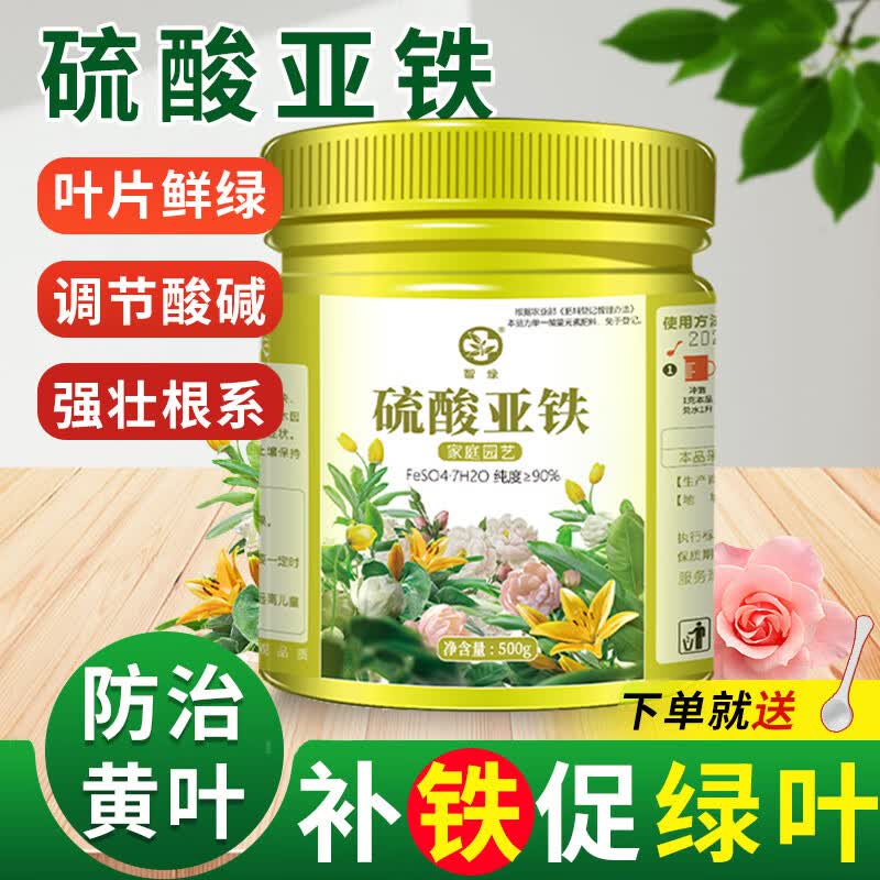 智绿硫酸亚铁花肥料喜酸植物栀子花茶花杜鹃花桂花水溶肥防黄叶家用肥 硫酸亚铁瓶装500g