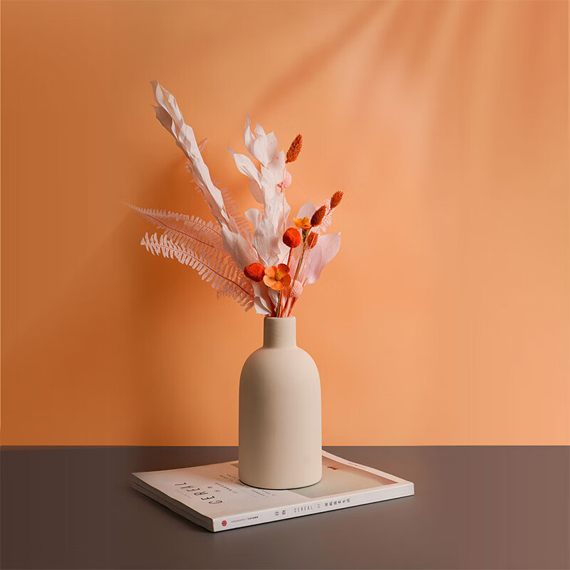 ���ȸɻ���������ƿĪ���Ϸ�ɫС��������ɫ�Ҿ�װ����Ǩ����������