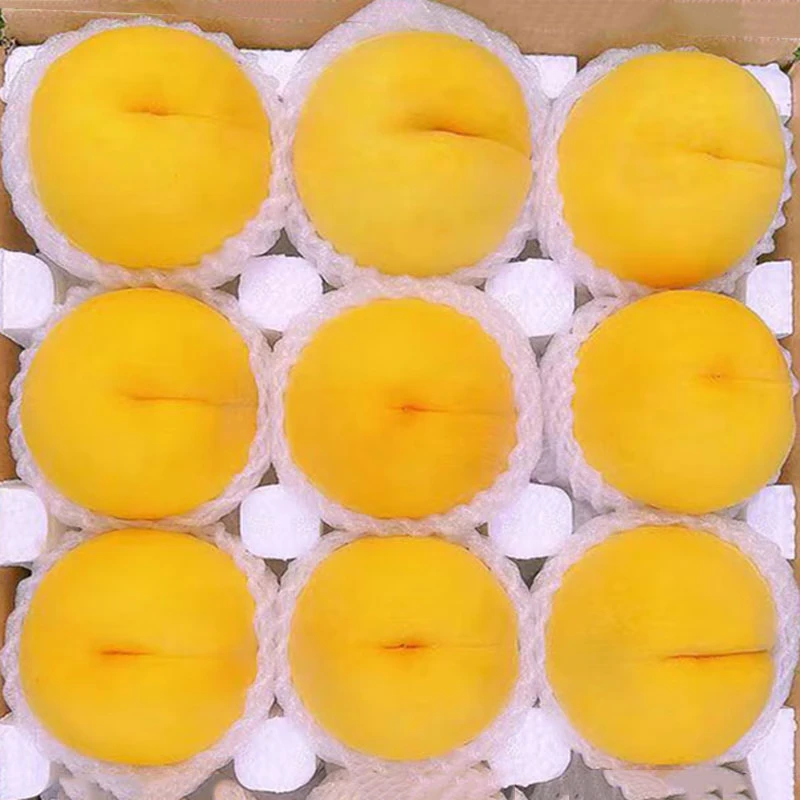 ����������ɽ���������ң���2���ϲ�һ�䷢�������ҵ���ˮ���ƽ����� ��ѡ �������� ����2.25-2.5�6-8����