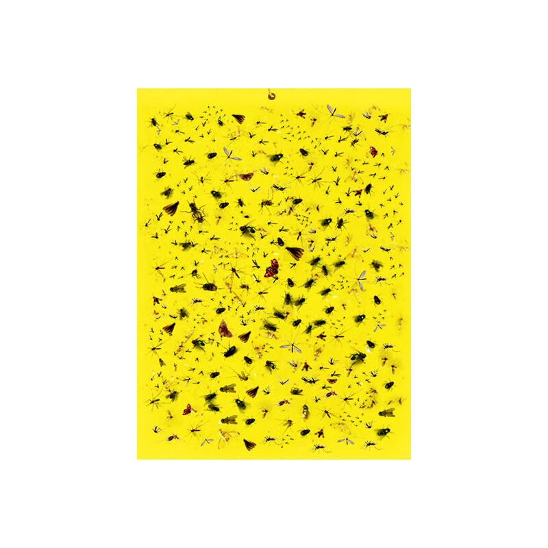ۡPLUS:Ľ˿GlemucciճӬֽӬӬֽưճ˫ճӬղӬ10*20 404.9Ԫ