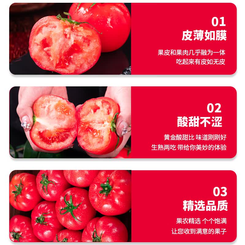 译优农【顺丰速运】正宗新疆普罗旺斯沙瓤西红柿自然熟水果番茄新鲜蔬菜 净重4.5- 5斤 中果【约12-16枚】