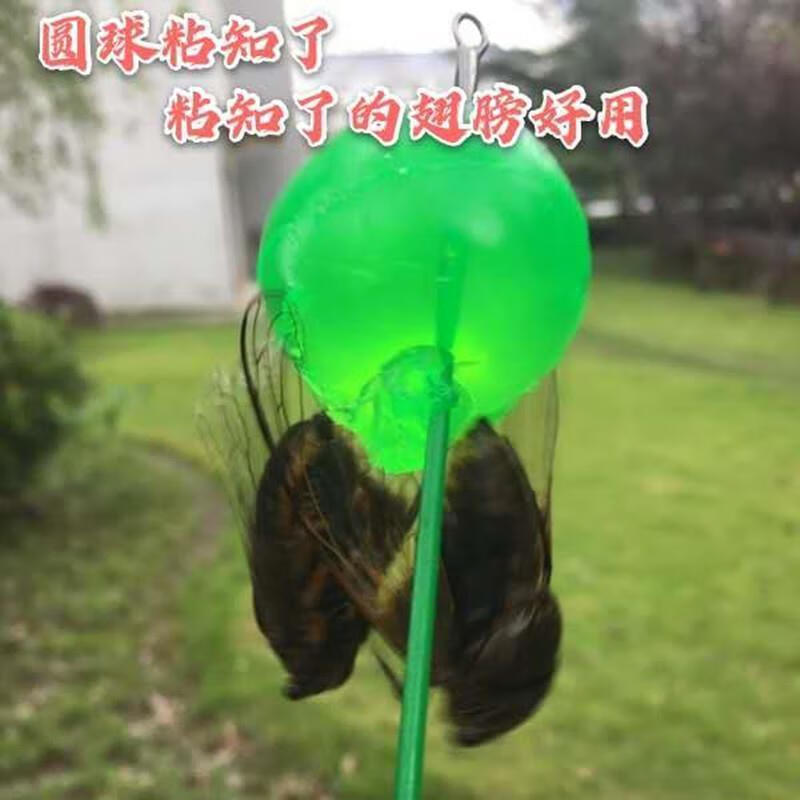 粘知了捕蝉工具黏黏球解压圆球抓知了猴神器夏季户外 粘知了6个绿色