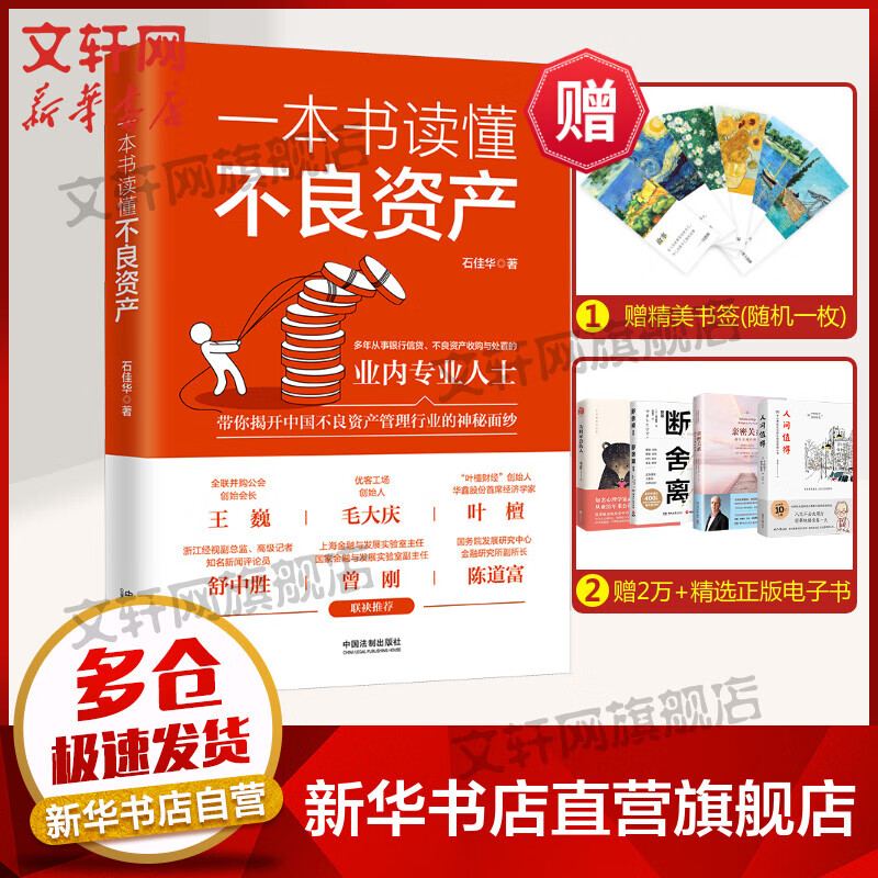 一本书读懂不良资产 图书