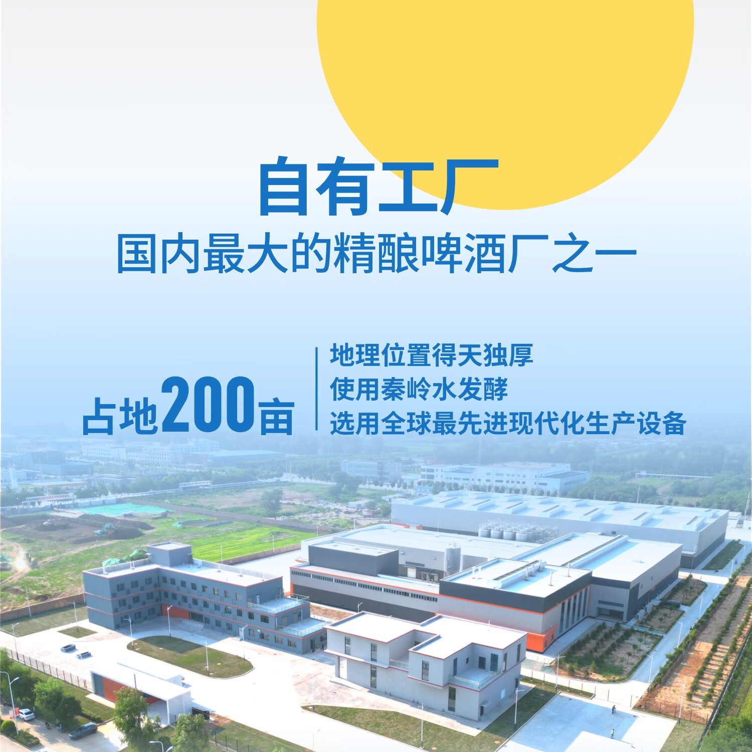 酒嘟嘟精酿德式小麦啤酒500ml 白啤 德国工艺 30天发酵 100%全麦芽 500mL 12罐 礼盒装