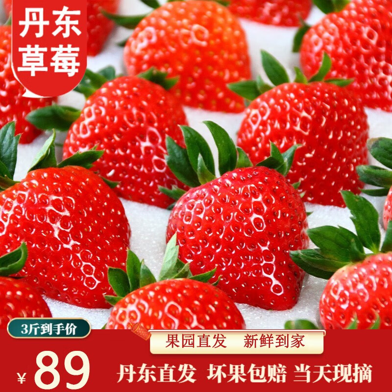 甜莓小康丹东99草莓红颜草莓新鲜甜牛奶奶油东港大九九水果99当季 推荐-3斤特惠款（单果25g-30g）