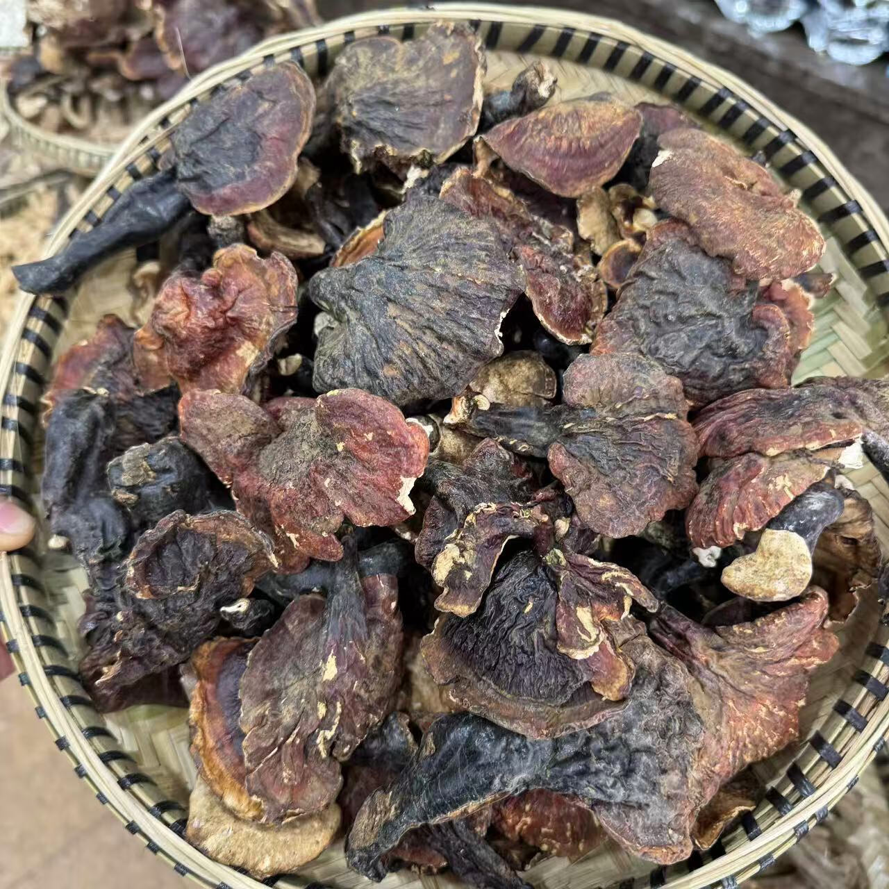 【西藏直发】西藏野生金边灵芝整株赤灵芝高海拔野生灵芝泡茶泡酒 西藏真野生灵芝【500克简装】