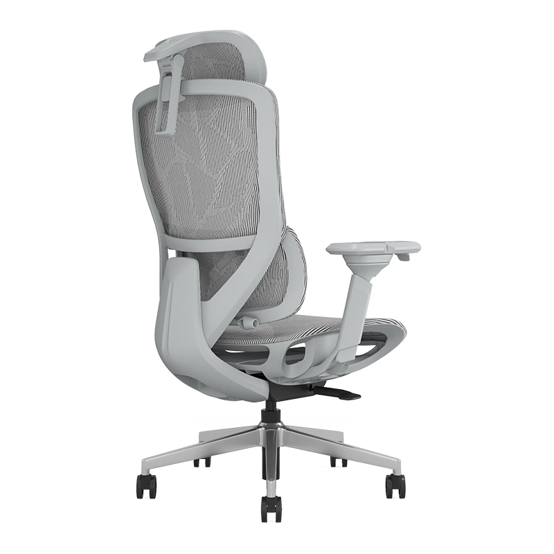 ENOVAʱ�м�pro ���幤ѧ�ε����ΰ칫ѧϰ�����˹���ѧ���ε羺�μ��� 687.48Ԫ(������)