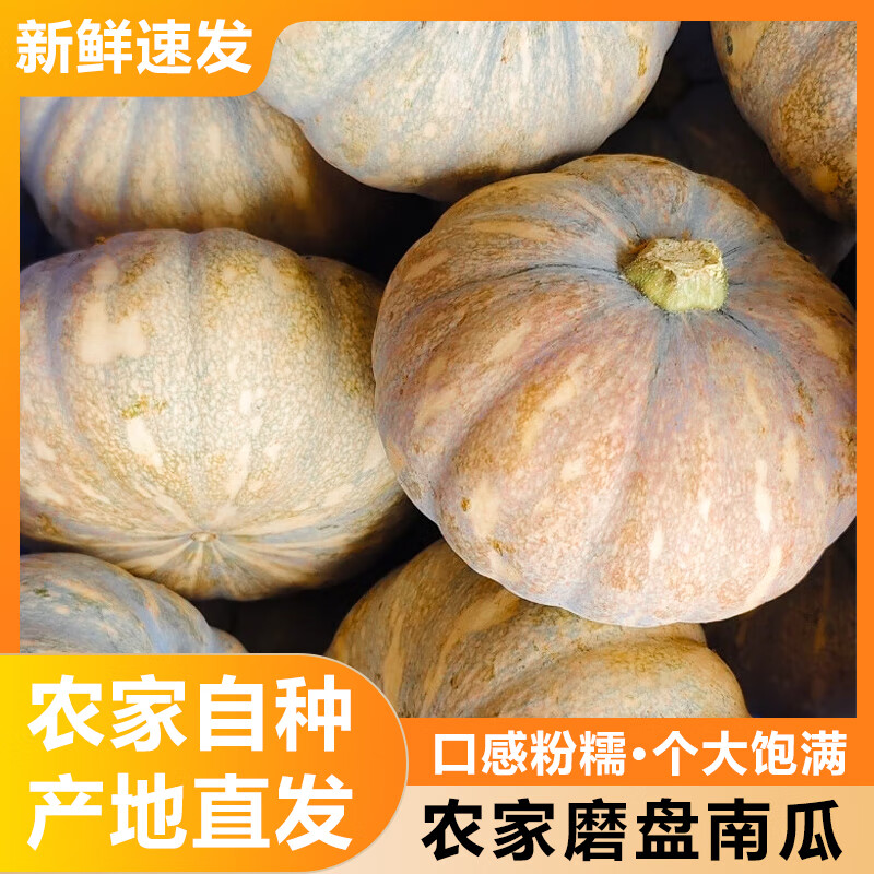 甄仙缘 磨盘南瓜 5斤 【1-2个】