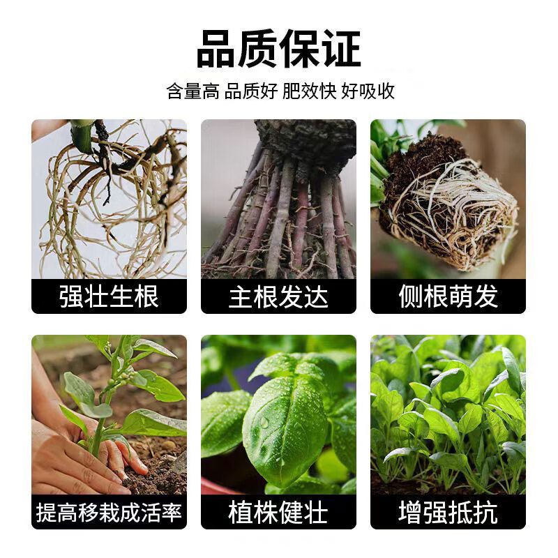 智绿快速生根粉植物通用营养液扦插移栽强力生根剂养花卉肥料 快速生根粉5斤桶装【加强型】