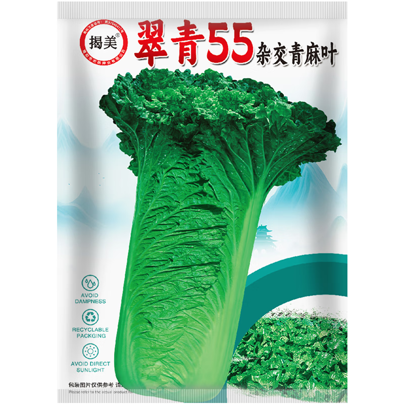 揭美雜交天津青大青麻葉種子 直筒型大白菜籽 秋季天津青蔬菜種子 翠青55 原裝4克約一千粒