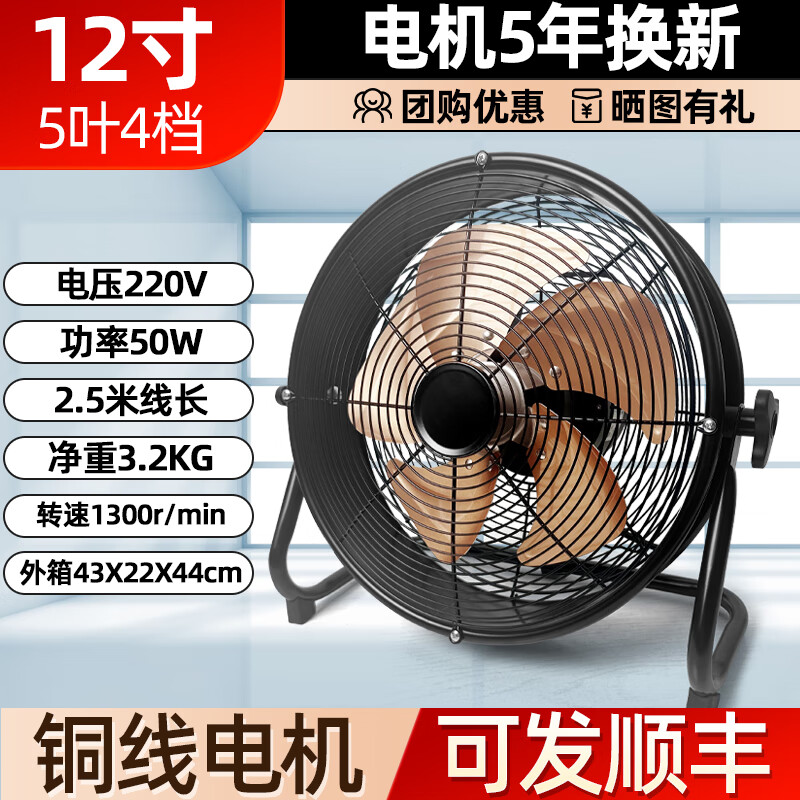 ������2025�¿�ſ���ȹ�ҵ������������ԲͲ�ȹ������ش��ǿ���ŷ��� ������ͭ�ߵ��������12��4����5Ҷ