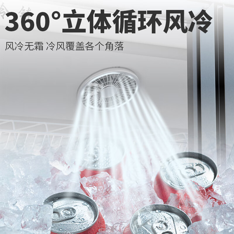 2026年冰箱展示柜品牌排名前十名，这10款超大容量、节能环保，真心推荐给你-图片10