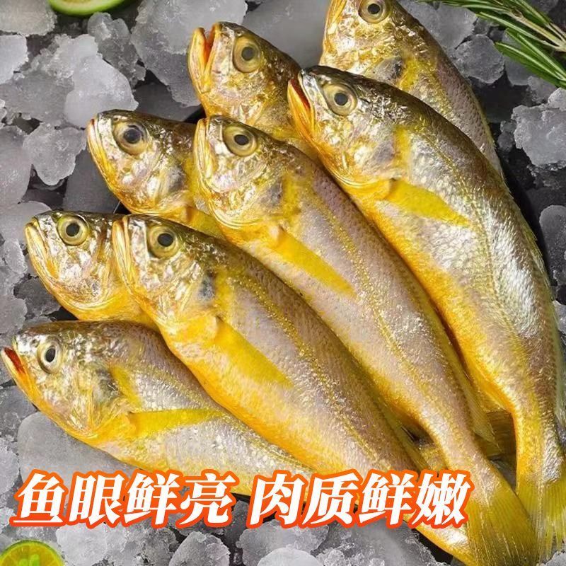 小黄鱼新鲜冷冻海鱼冰鲜真空包装生小黄鱼 1斤【约10条左右】