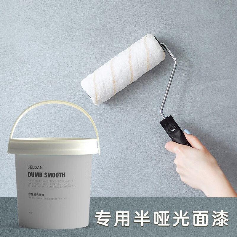 丹詩致遠耐污磨透明的罩面清漆防塵室內(nèi)外墻涂料漆墻面 墻頂單組份透明啞光清漆 1kg