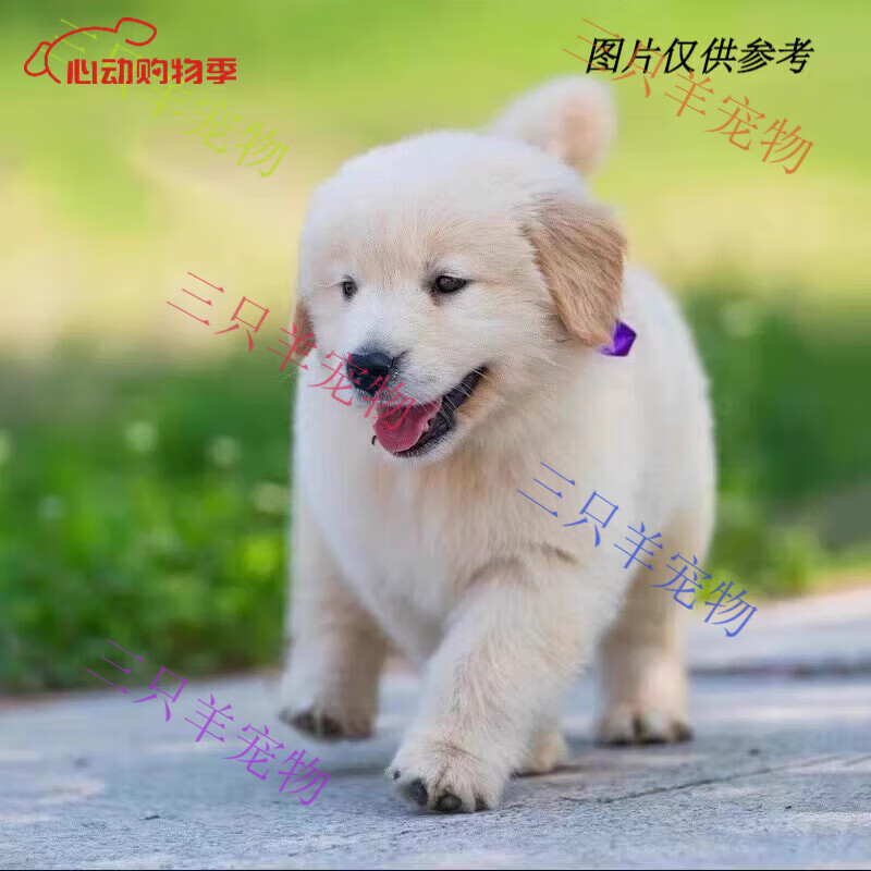 ԰л԰ȮȮﹷѪȮ Ѫ ëѪ