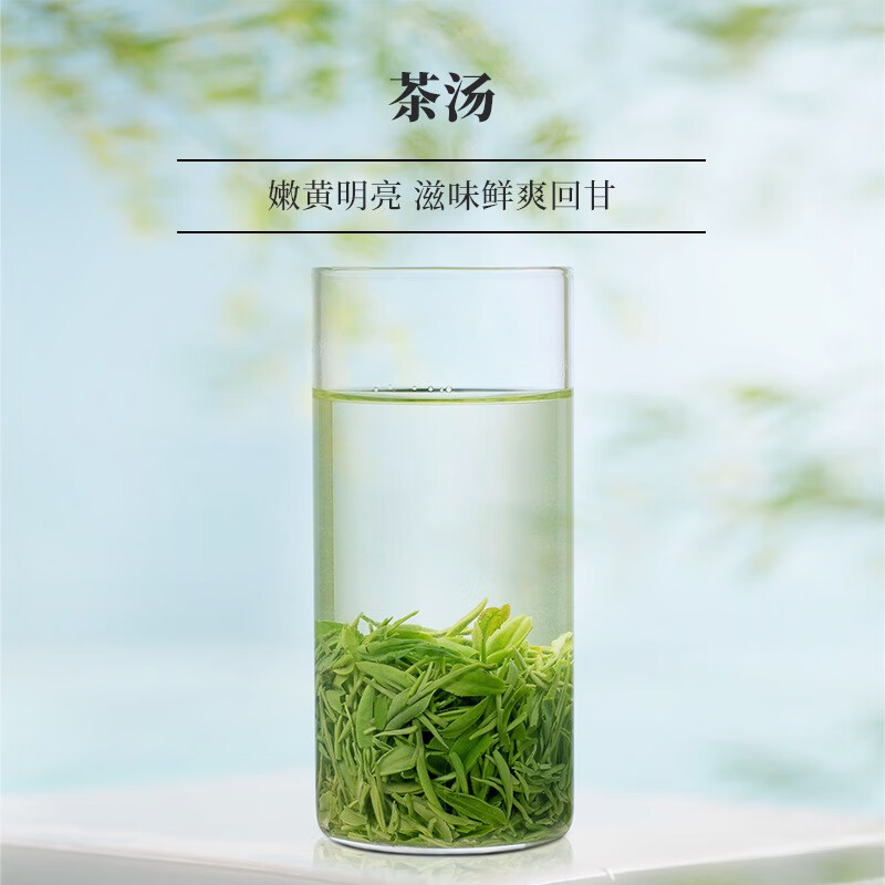 文新（WenXinTea）信陽(yáng)毛尖茶葉綠茶2024新茶明前特級品鑒茶盒裝4g2袋