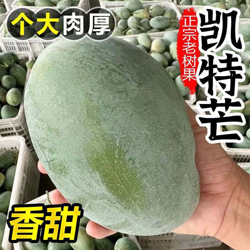 攀枝花凯特芒果新鲜水果芒果当季水果芒果青皮大芒果甜产地直发 凯特芒果 大果（单果≥400g）5斤