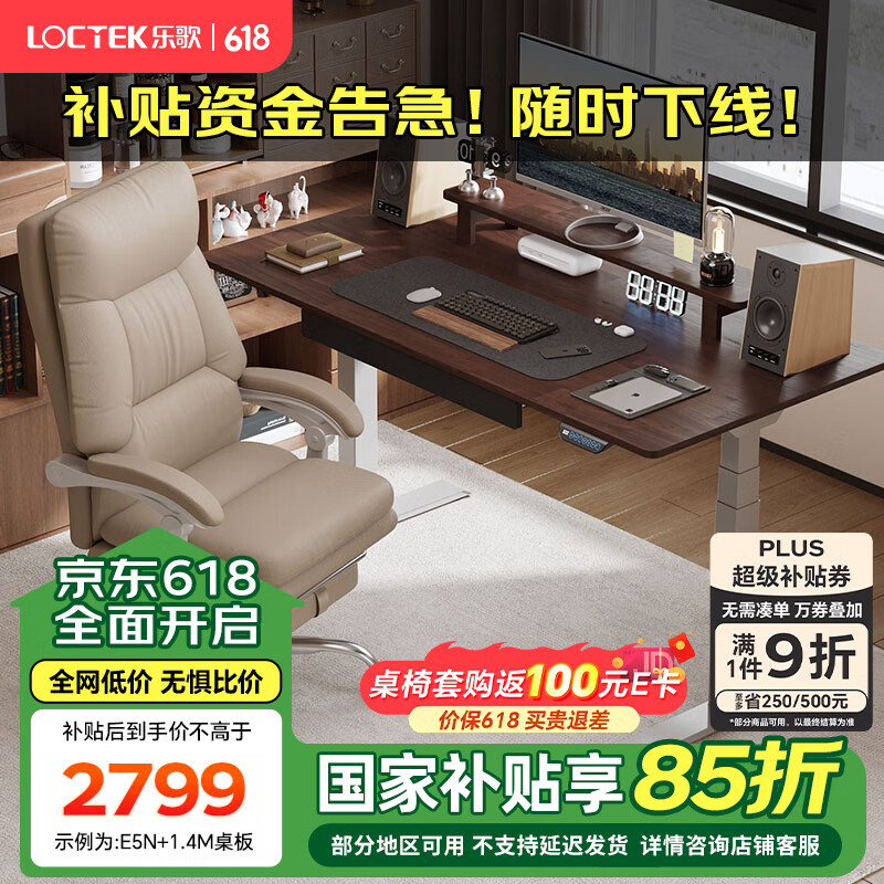 樂歌（Loctek）【國家補貼】電動智能升降桌電腦桌站立辦公家用書桌學(xué)習(xí)桌創(chuàng)作者 【E5N】灰腿+進口實木橡膠木桌板 1.2*06米桌板
