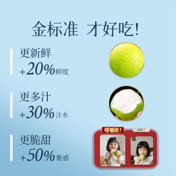 鲜其正宗砀山梨青梨翠冠梨10斤水果整箱批发青皮梨应季新鲜酥脆多汁 3.5斤【首次尝鲜-少量装】 【首推规格】精品果I单果250g+