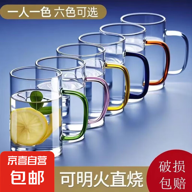 高硼硅玻璃杯带把手杯子喝水家用耐高温家庭待客水杯泡茶茶杯套装 六色杯套装 300ml 6只