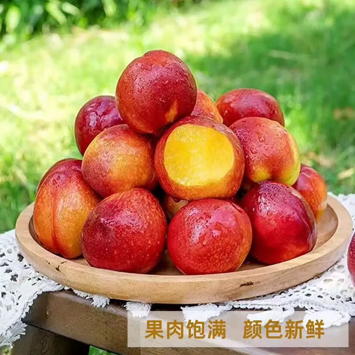 果原力【爆甜】黄心大油桃新鲜脆甜孕妇水果当季新鲜油桃子 河南油桃 净重1斤（单果50g+)